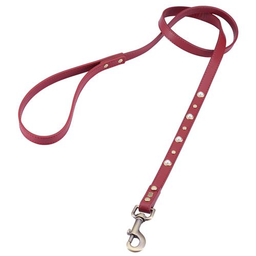 Mini Boho Red Leather Dog Leash